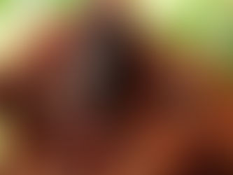 Orangutan in the Board: A step further towards Board Diversity