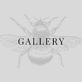 Copy of Cream and Brown Natural Makeup Beauty Logo (5).png