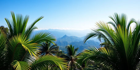 “A picturesque scene features several tall palm trees with lush green fronds, set against 