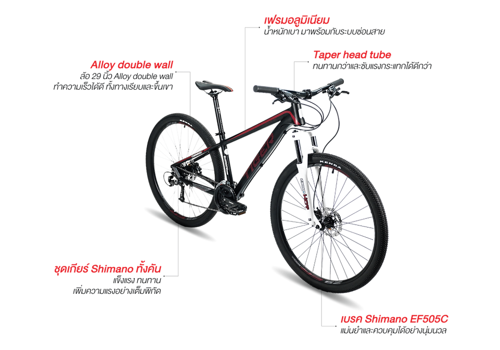 Thumbnail: Tiger Tornado 29ER