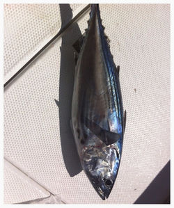 160614_110658_7_edited