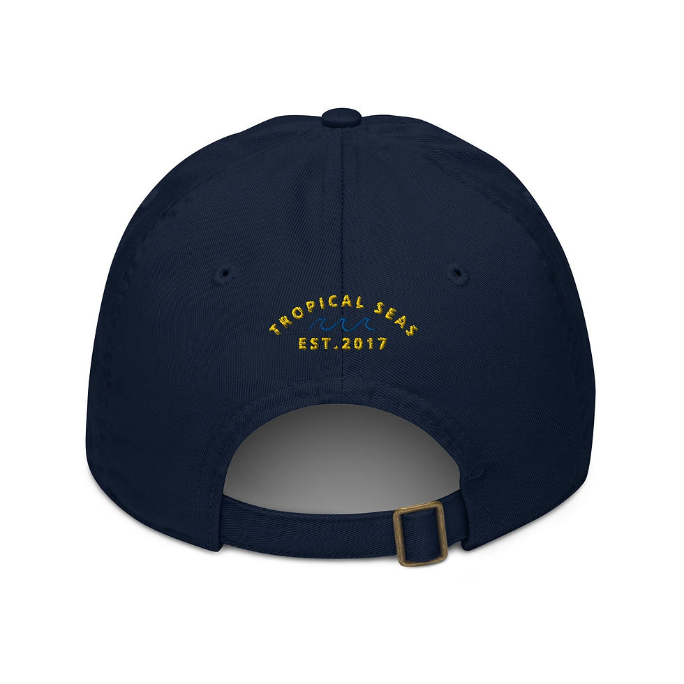 Thumbnail: World Wide Good Vibes Organic dad hat