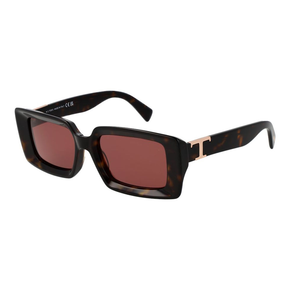 Tod's Brown Acetate Sunglasses