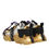תמונה ממוזערת: Dolce & Gabbana Multicolor Daymaster Low Top Sneakers Shoes