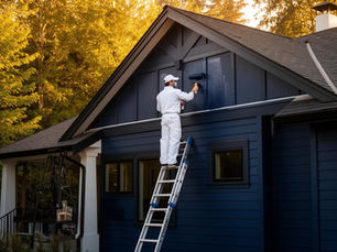 Qualities of Expert Painting Professionals
