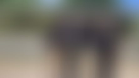 Trío campeón arrasa en competencia matemática