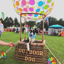 神田 里砂01.jpeg