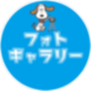 フォトギャラリー.png