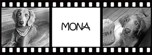 仕上がりイメージ001s.png