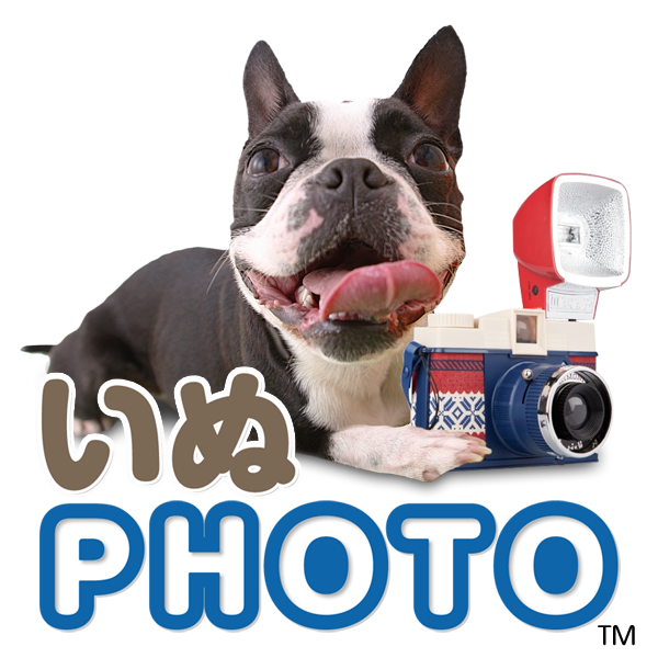 いぬphoto撮影の心得 公式 いぬphoto いぬフォト いぬphoto撮影の心得 公式 いぬphoto いぬフォト