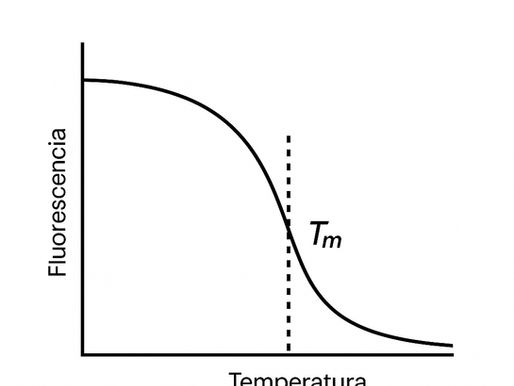 ¿Cómo estimar la temperatura de melting (Tm) de una sonda o primer?