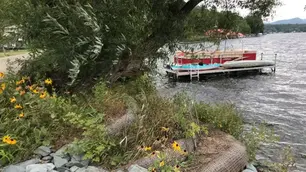 What is a Bioengineered Shoreline?