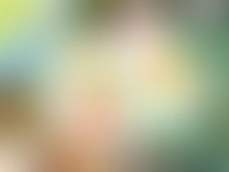 「 風福日々  」絵と写真