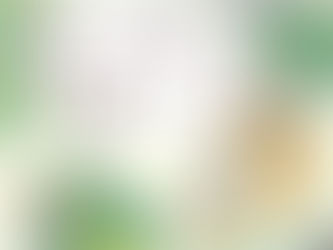 メディア掲載情報