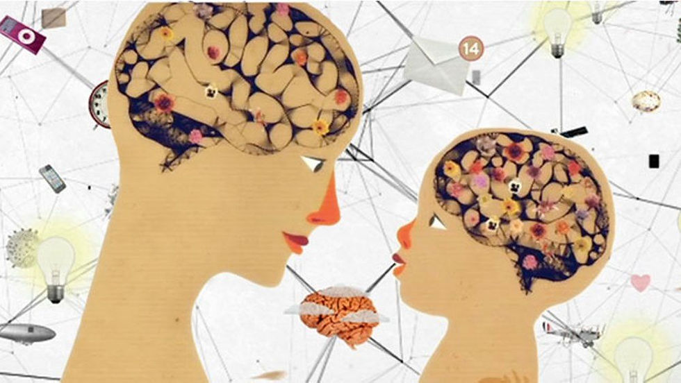 Neuroeducación