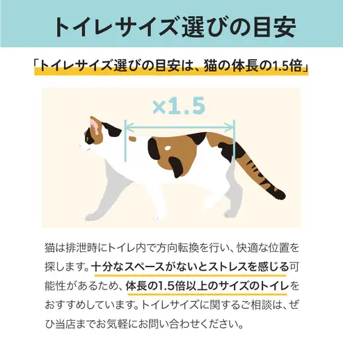 サムネイル： メガトレー