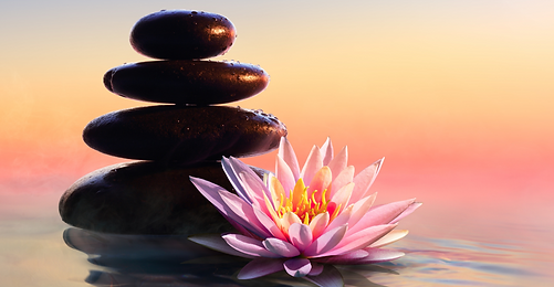 Untitled design (28).png