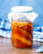 SCOBY (symbiotic culture of bacteria and yeast)
