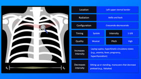 Pulmonary Flow Murmur .jpg