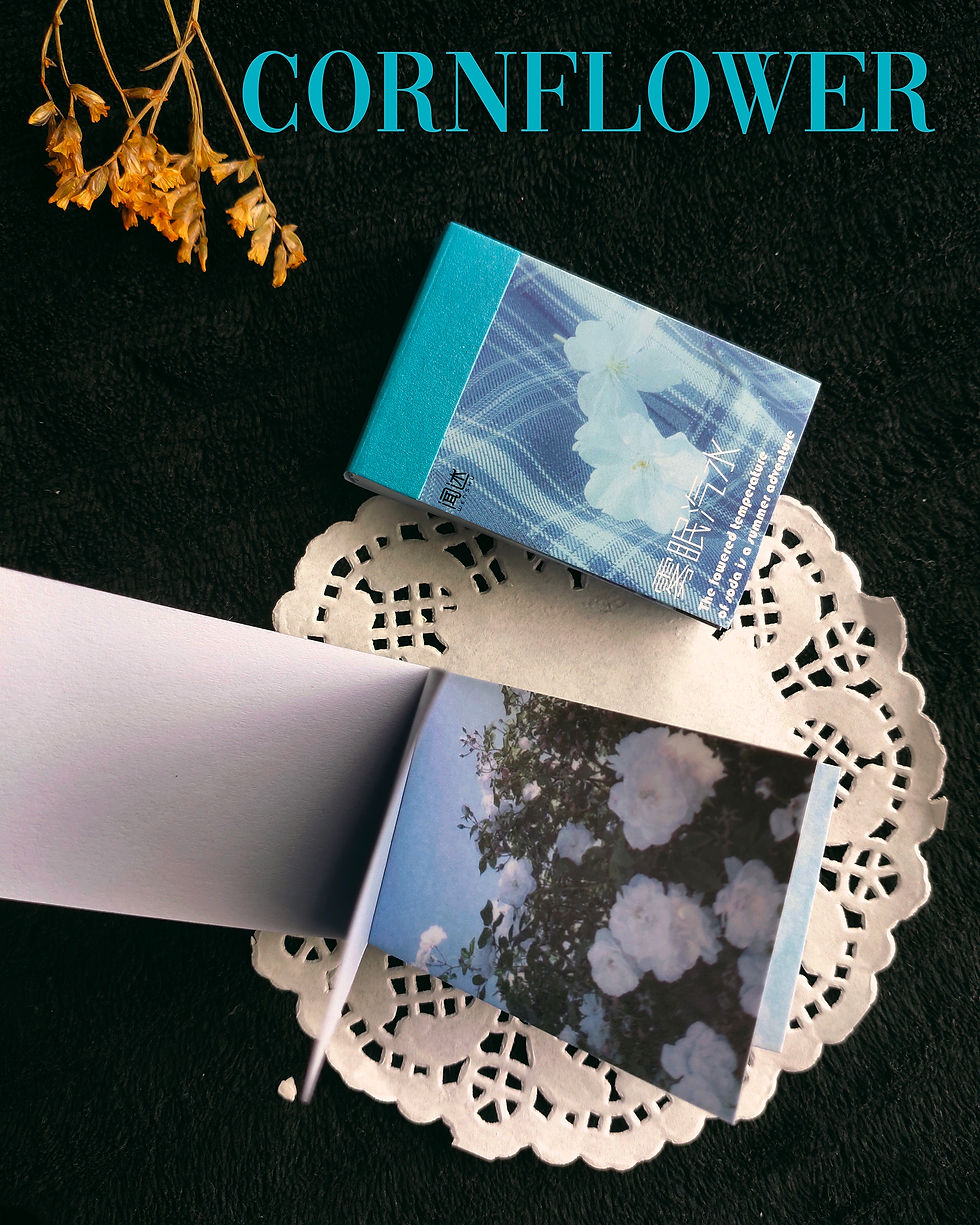Thumbnail: Vellum Sticker Booklets (Set of 50)