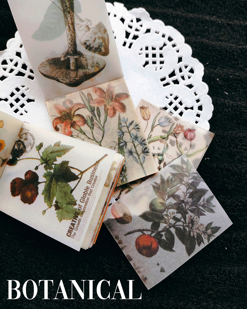 Thumbnail: Vellum Booklets (Set of 50 Unique Prints)