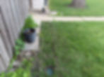 Finished product of downspout extension with pop up emitter
