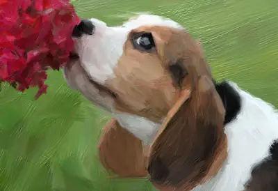 Paint your Pet - School holiday workshop