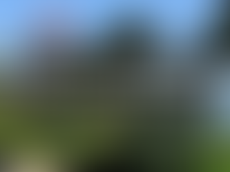 15 Things to Do Now: Your Ultimate Summer Bucket List for 2021