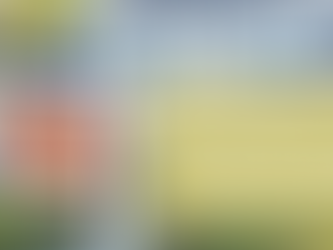 Going, Going, Gone! Homes Are Selling the Fastest in These Markets