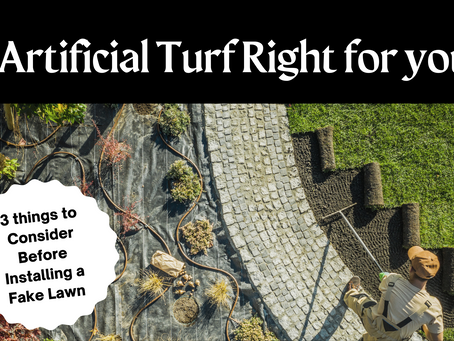 Is Artificial Turf Right for You? 3 Things to Consider Before Installing a Fake Lawn