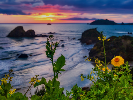 25 Awesome Things to do in Northern California with Kids on a Family Vacation!