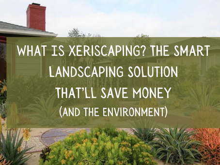 What Is Xeriscaping? The Smart Landscaping Solution That’ll Save Money (and the Environment)