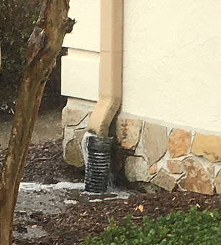 backed up drain.jpeg