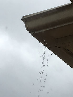 Gutter Back up.jpeg