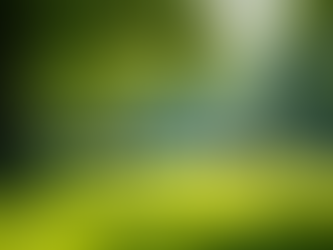 How to Reduce Your Carbon Footprint Today