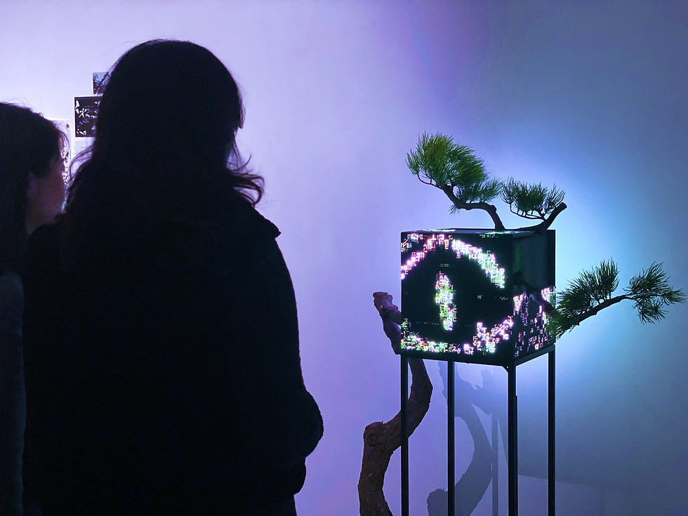 Image: Artist Henry Chu, ‘When you lose something you cannot replace’, Image courtesy of Hollis Hui