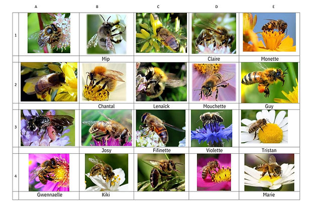 trombi abeilles p 1.2026.pdf.jpg