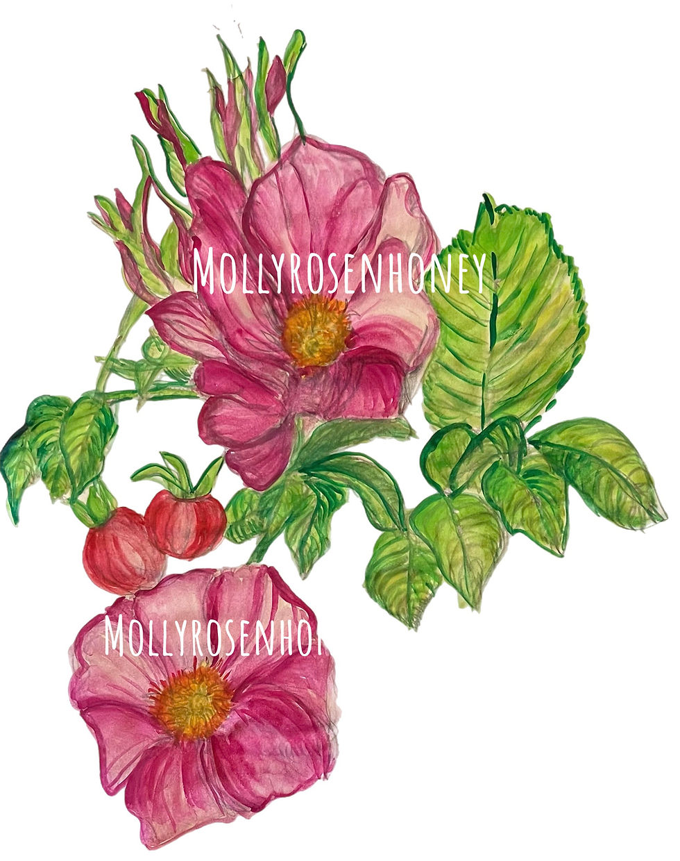 Miniaturebillede: Mollyrosenhoney Dynejakke #4