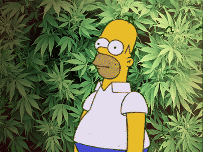 Homer Weed.gif