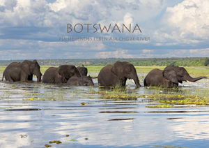 00_R3_6530 Elefanten im Wasser (Titelbild).jpg