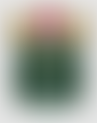 Recesso de Final de Ano