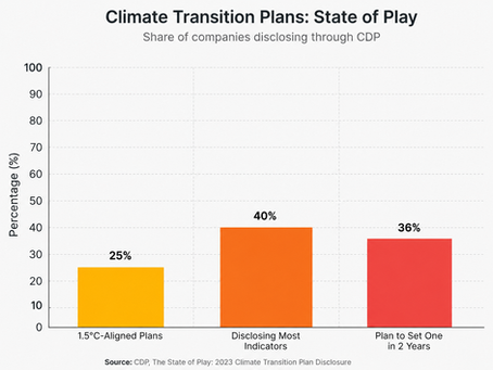 Climate Transition Plans: Real Strategy or ESG Window Dressing?