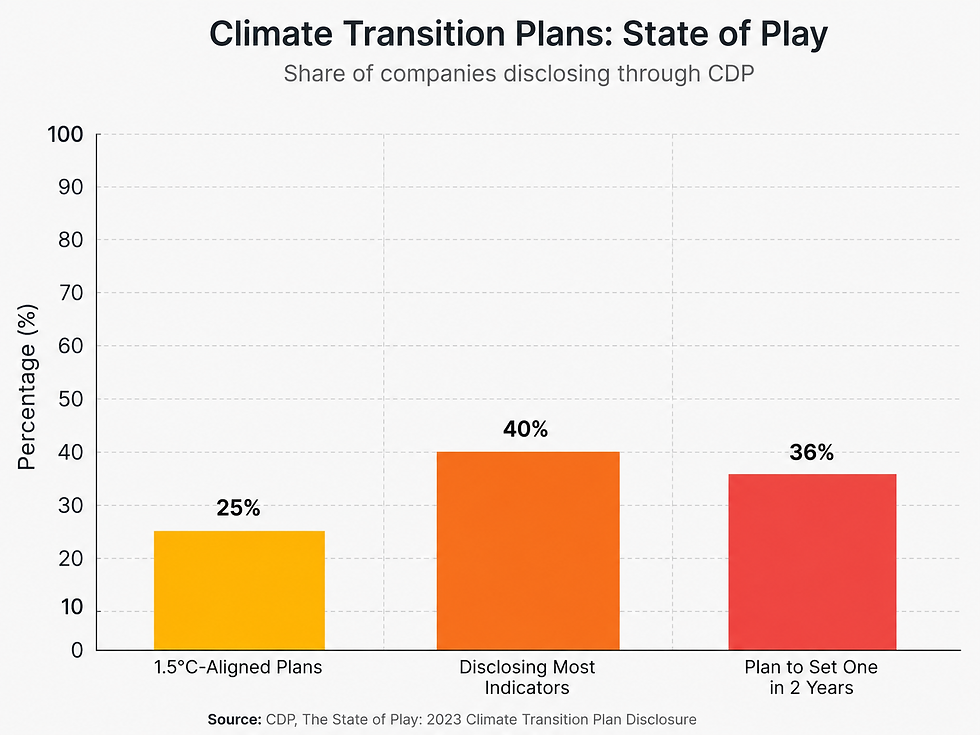 Climate Transition Plans: Real Strategy or ESG Window Dressing?