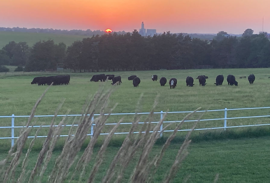 67738261024__66CE09F4-C036-4DC3-8E8E-C655FAC260C0 (1).jpg