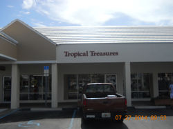 Tropical Treasures