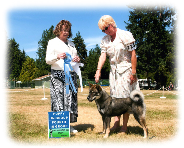 Akashima's Kochi Ken Kibakaze (Kiba) wins 'Group Fourth'