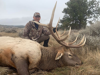 Elk- Dallas 19.jpeg