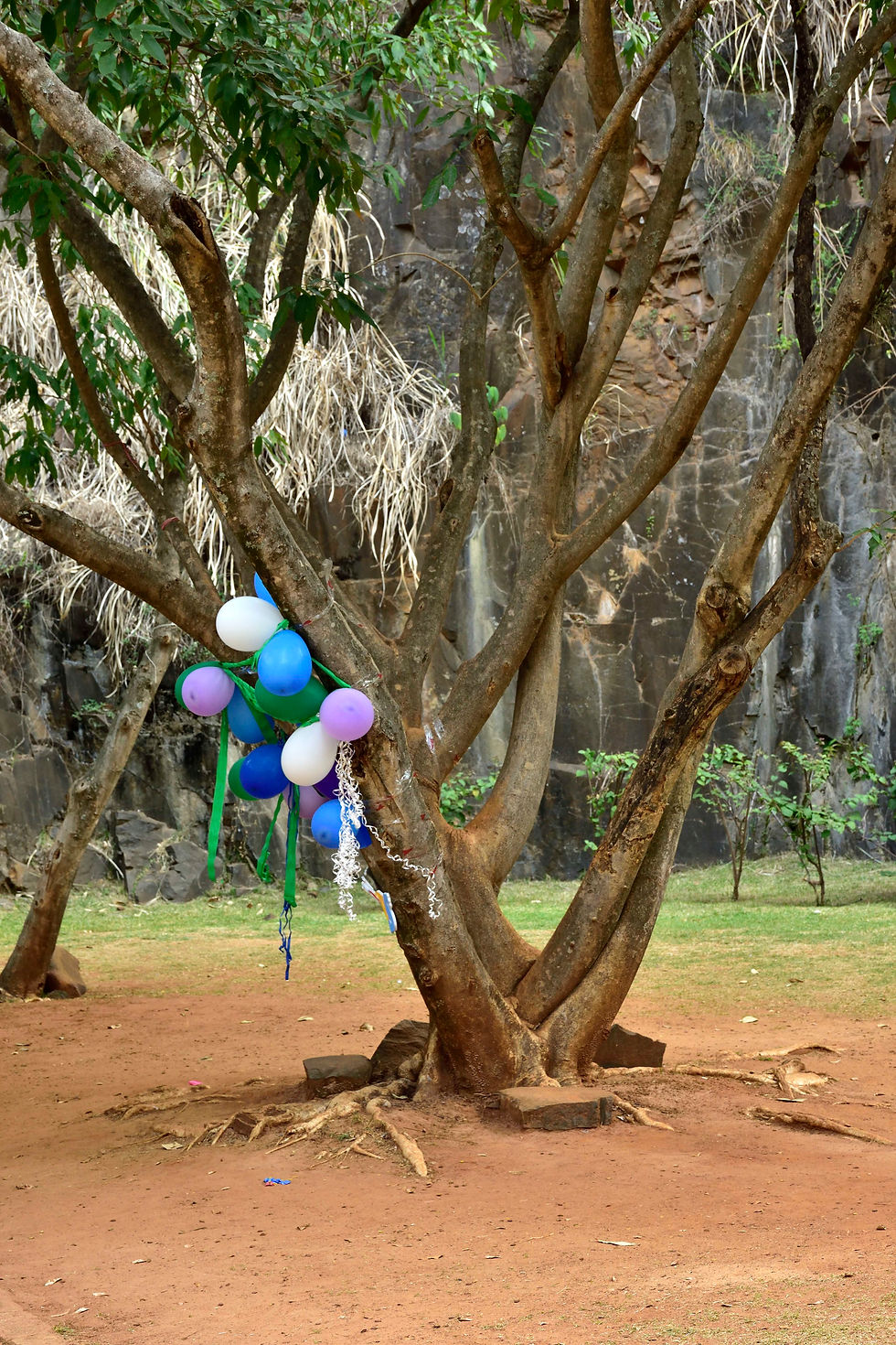 Uma festa ...
