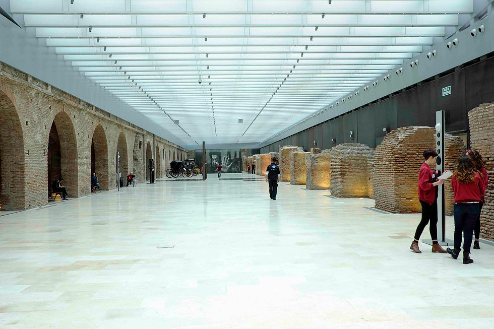 Museo Casa Rosada ii