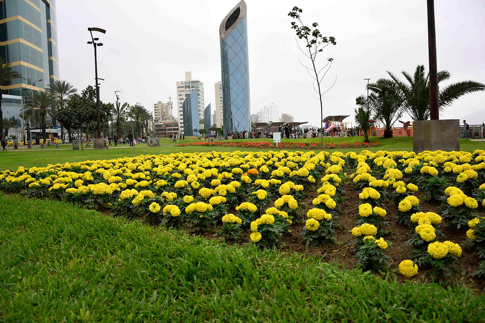 Jardim da Beira Mar